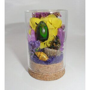 Green Chaffer Beetle & June Bug in Acorn Cap Throne Oddity Jar curiosity dome